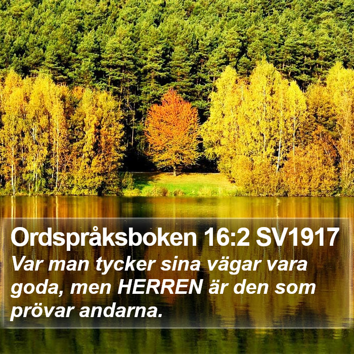 Ordspråksboken 16:2 SV1917 Bible Study