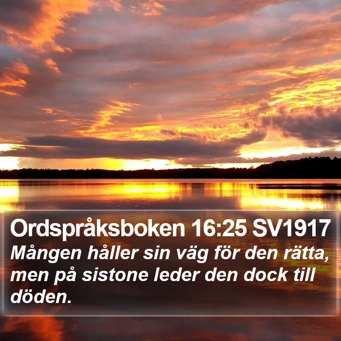 Ordspråksboken 16:25 SV1917 Bible Study