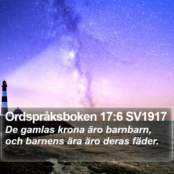 Ordspråksboken 17:6 SV1917 Bible Study