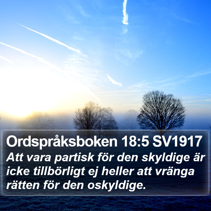 Ordspråksboken 18:5 SV1917 Bible Study