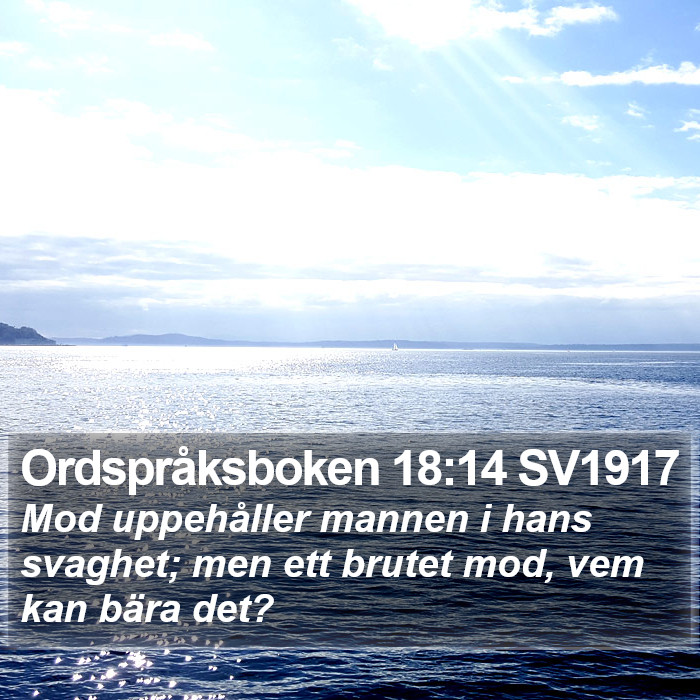 Ordspråksboken 18:14 SV1917 Bible Study