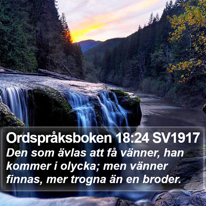 Ordspråksboken 18:24 SV1917 Bible Study
