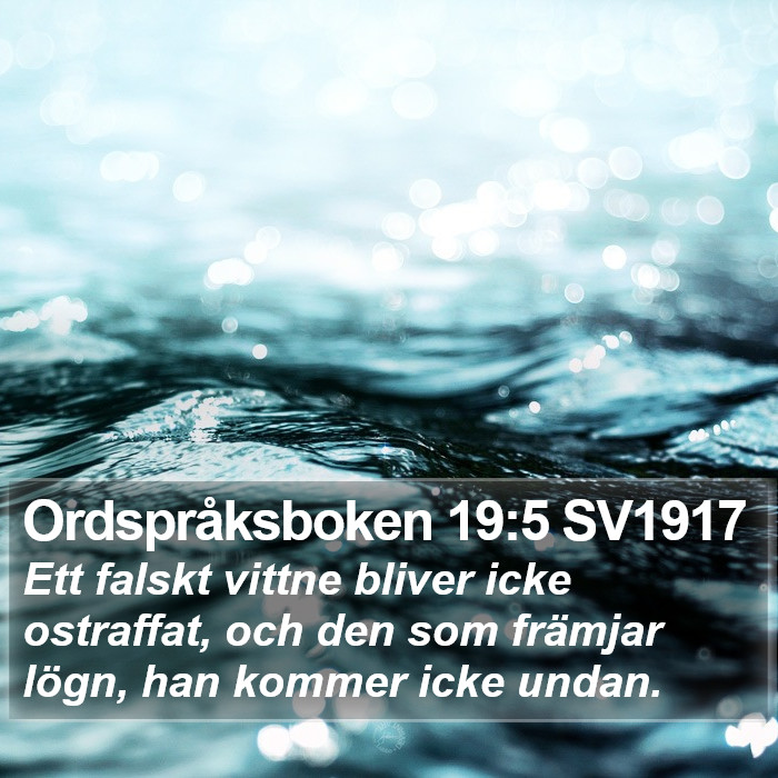 Ordspråksboken 19:5 SV1917 Bible Study