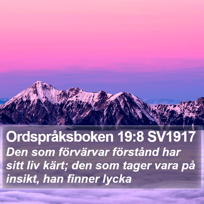 Ordspråksboken 19:8 SV1917 Bible Study