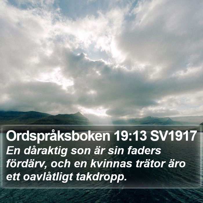 Ordspråksboken 19:13 SV1917 Bible Study