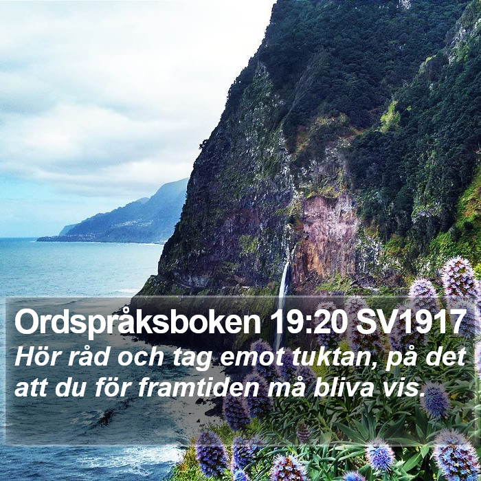 Ordspråksboken 19:20 SV1917 Bible Study
