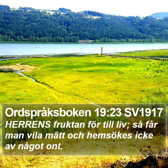 Ordspråksboken 19:23 SV1917 Bible Study