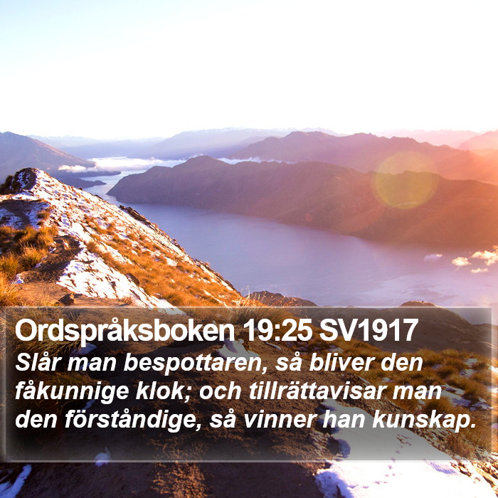 Ordspråksboken 19:25 SV1917 Bible Study