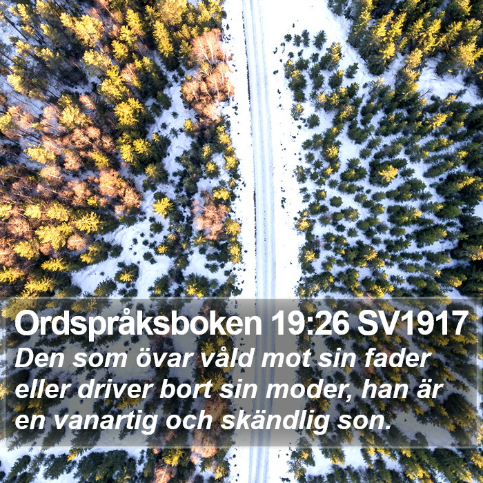 Ordspråksboken 19:26 SV1917 Bible Study