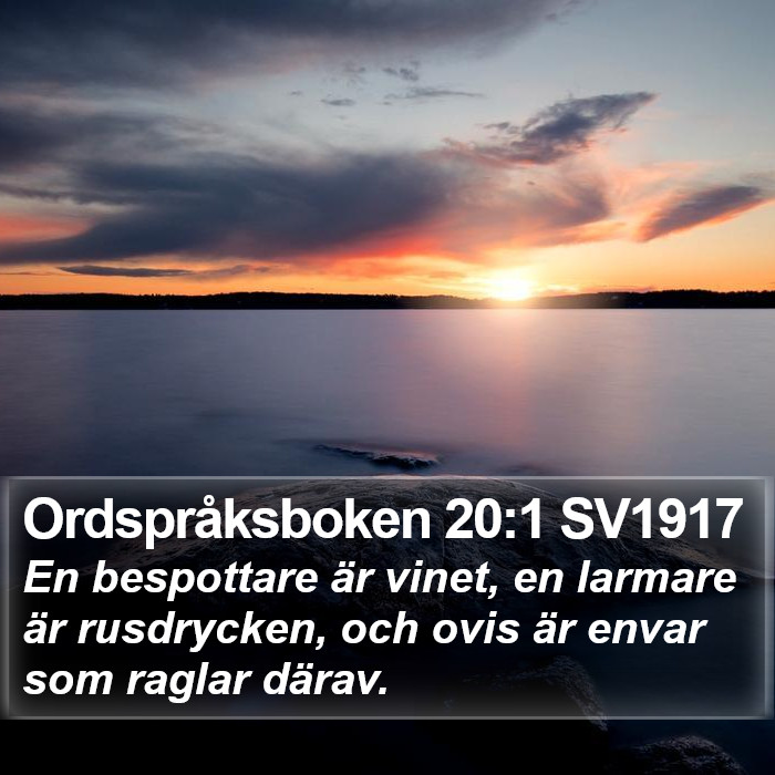 Ordspråksboken 20:1 SV1917 Bible Study