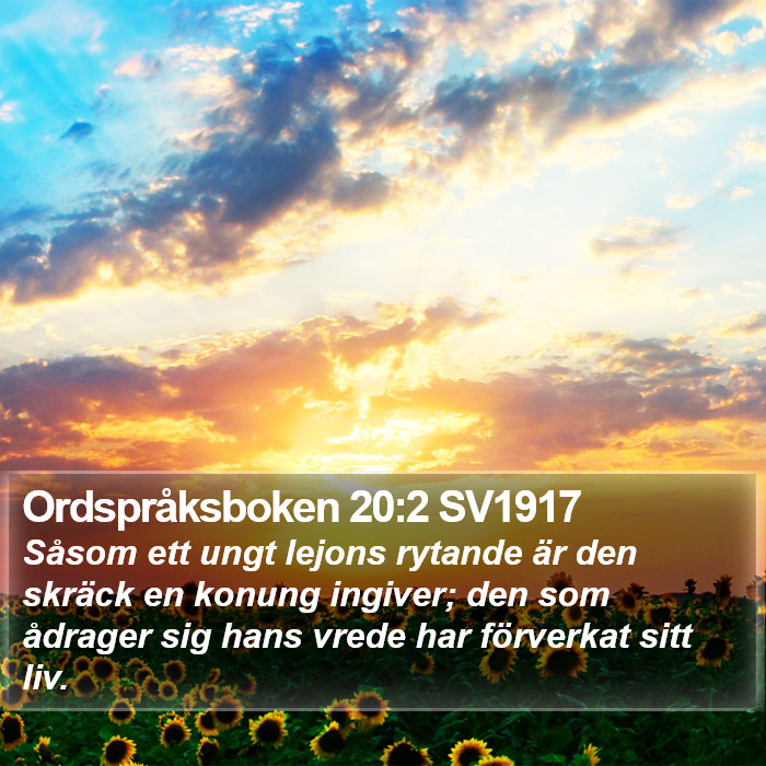 Ordspråksboken 20:2 SV1917 Bible Study