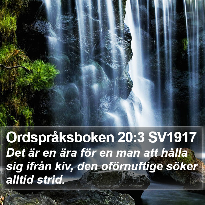 Ordspråksboken 20:3 SV1917 Bible Study