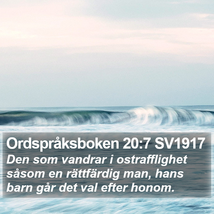 Ordspråksboken 20:7 SV1917 Bible Study