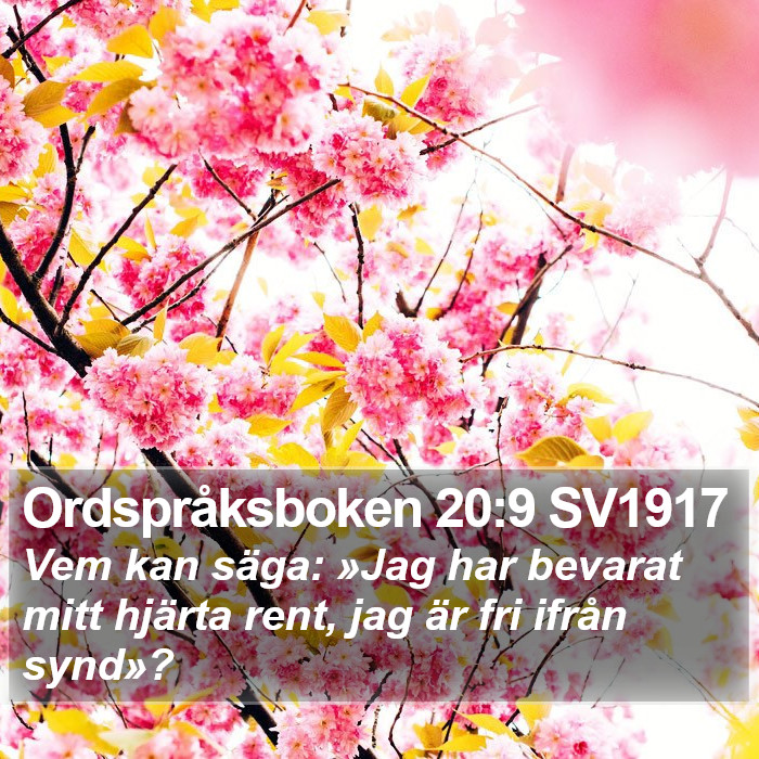 Ordspråksboken 20:9 SV1917 Bible Study