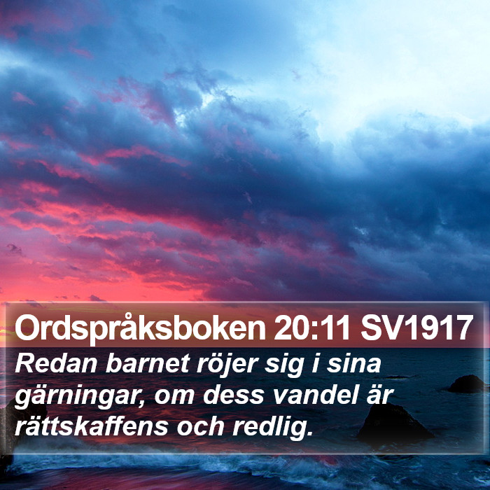 Ordspråksboken 20:11 SV1917 Bible Study