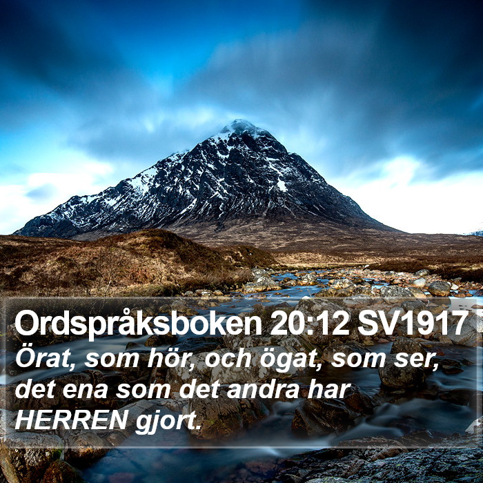 Ordspråksboken 20:12 SV1917 Bible Study