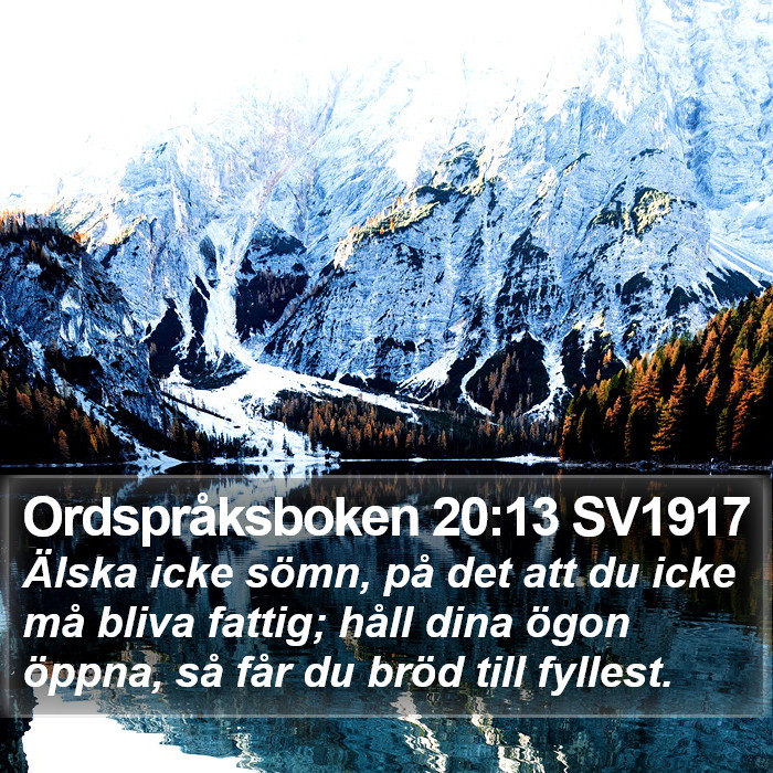 Ordspråksboken 20:13 SV1917 Bible Study