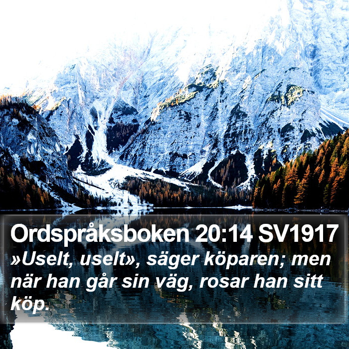 Ordspråksboken 20:14 SV1917 Bible Study