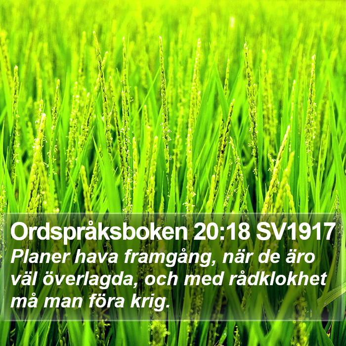 Ordspråksboken 20:18 SV1917 Bible Study