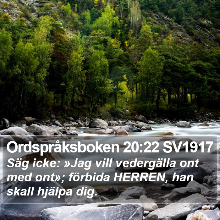 Ordspråksboken 20:22 SV1917 Bible Study