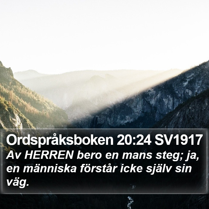 Ordspråksboken 20:24 SV1917 Bible Study