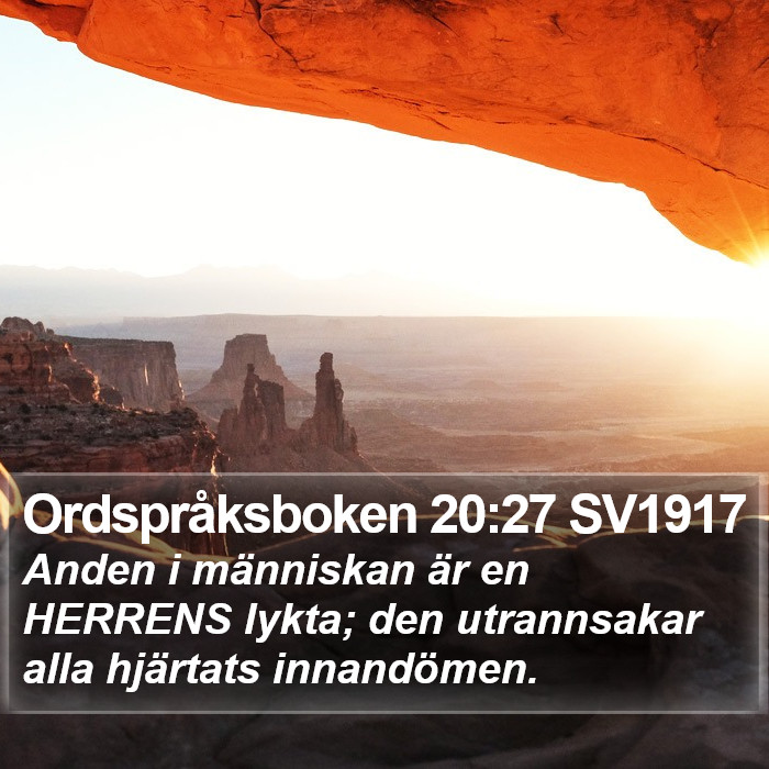 Ordspråksboken 20:27 SV1917 Bible Study