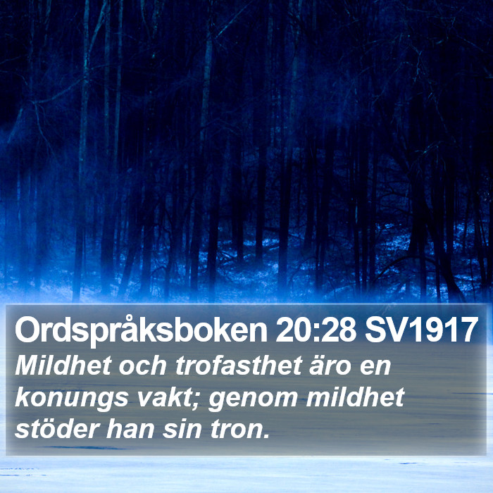 Ordspråksboken 20:28 SV1917 Bible Study
