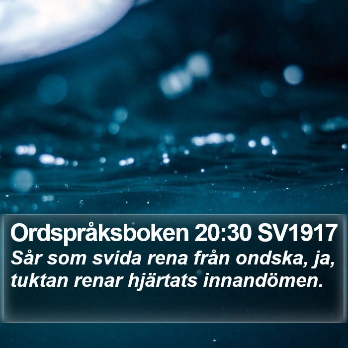 Ordspråksboken 20:30 SV1917 Bible Study