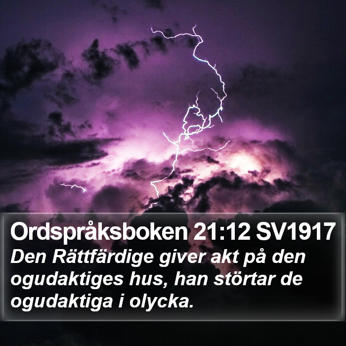 Ordspråksboken 21:12 SV1917 Bible Study