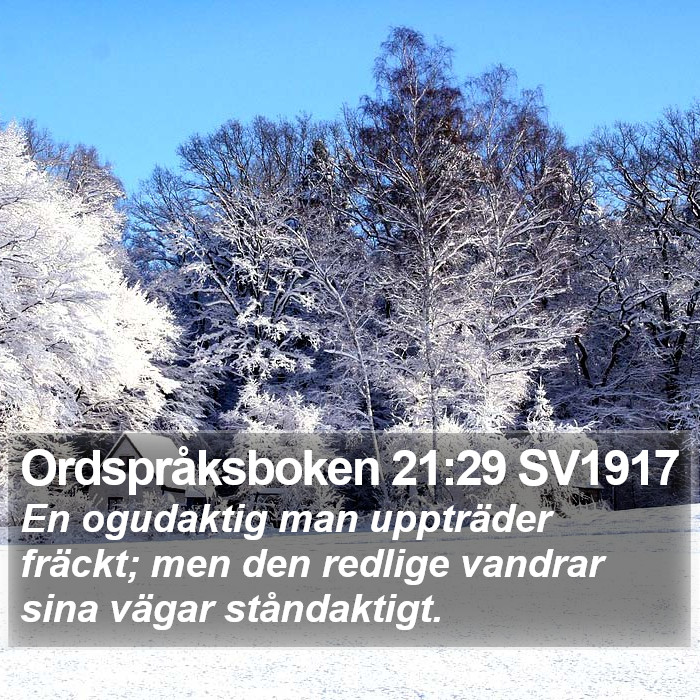 Ordspråksboken 21:29 SV1917 Bible Study