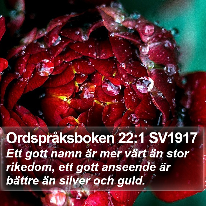 Ordspråksboken 22:1 SV1917 Bible Study