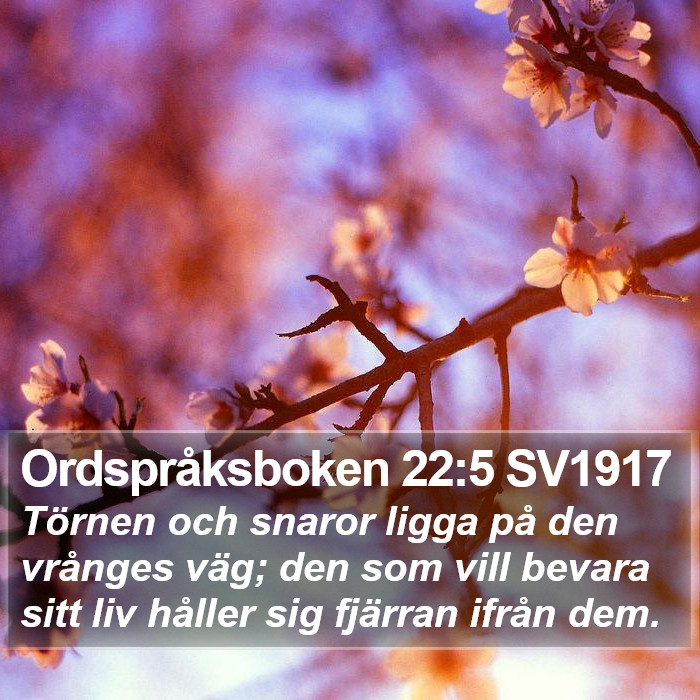 Ordspråksboken 22:5 SV1917 Bible Study