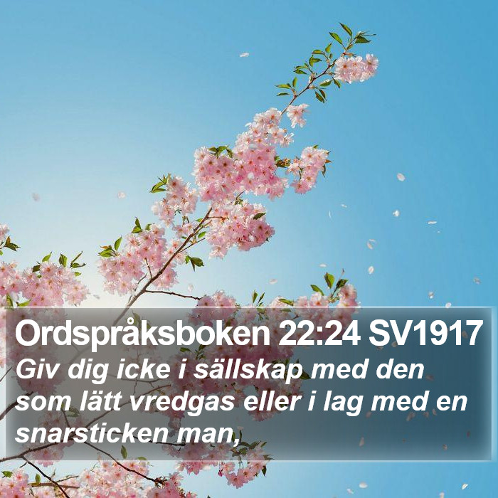 Ordspråksboken 22:24 SV1917 Bible Study