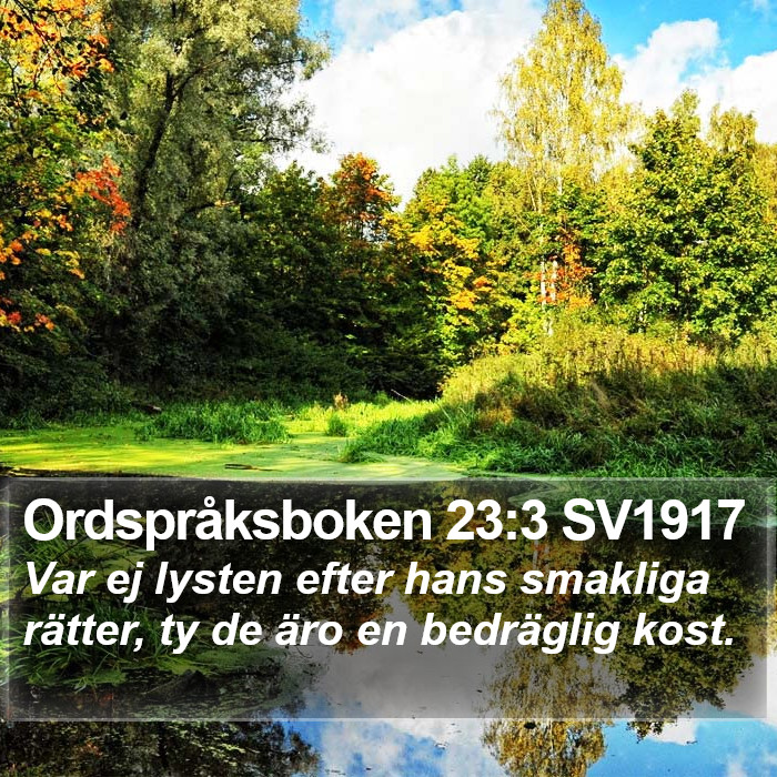 Ordspråksboken 23:3 SV1917 Bible Study