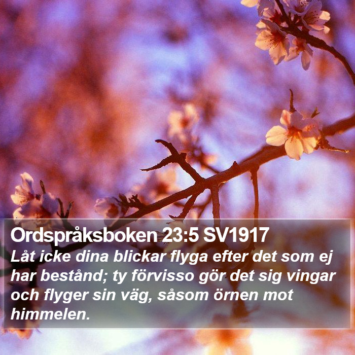 Ordspråksboken 23:5 SV1917 Bible Study