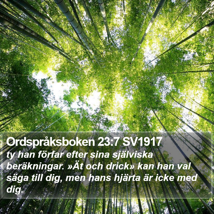 Ordspråksboken 23:7 SV1917 Bible Study