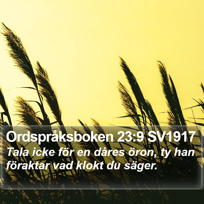 Ordspråksboken 23:9 SV1917 Bible Study