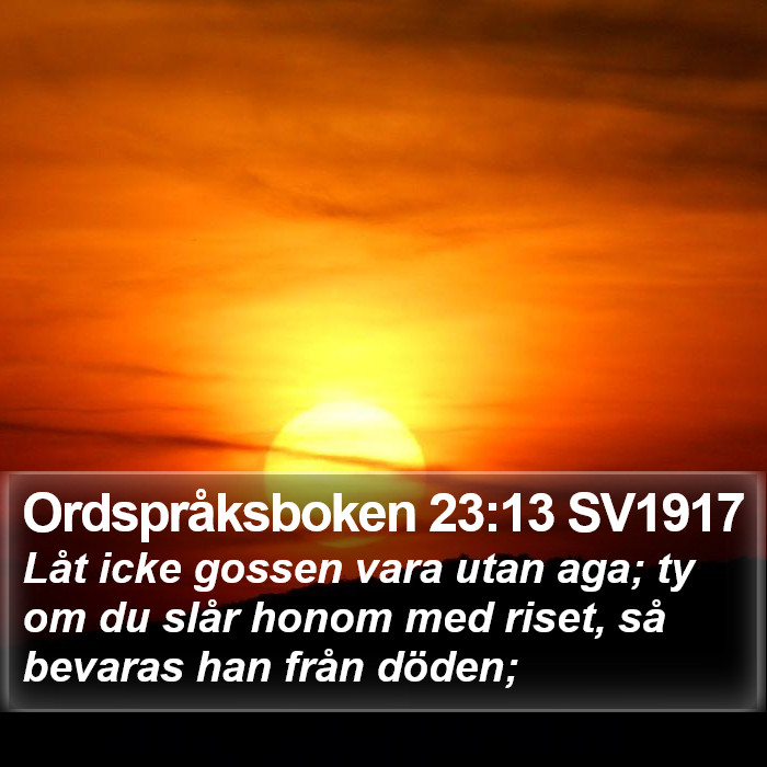 Ordspråksboken 23:13 SV1917 Bible Study