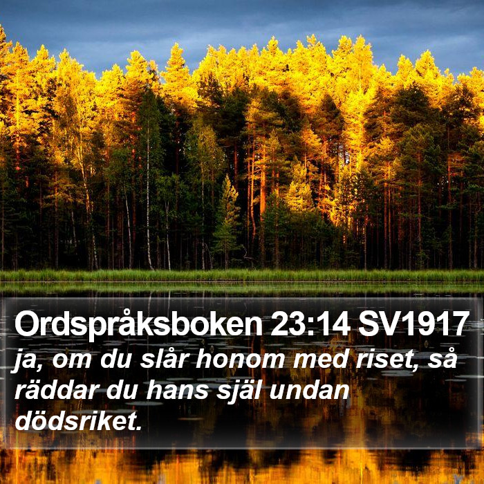 Ordspråksboken 23:14 SV1917 Bible Study