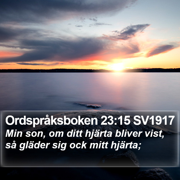 Ordspråksboken 23:15 SV1917 Bible Study