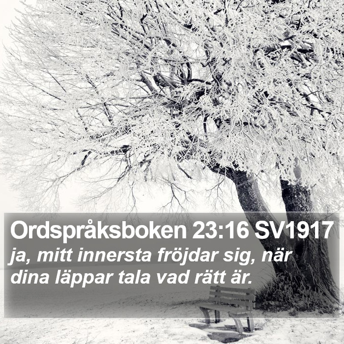 Ordspråksboken 23:16 SV1917 Bible Study