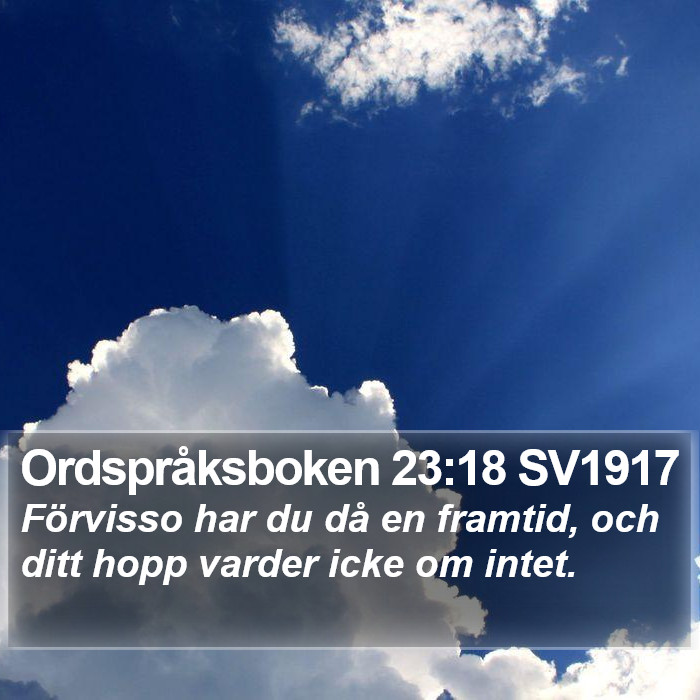 Ordspråksboken 23:18 SV1917 Bible Study