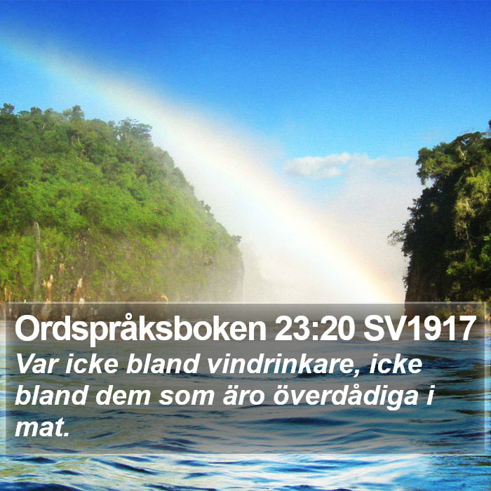 Ordspråksboken 23:20 SV1917 Bible Study