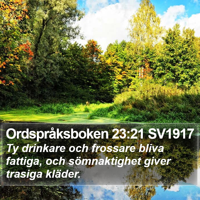 Ordspråksboken 23:21 SV1917 Bible Study