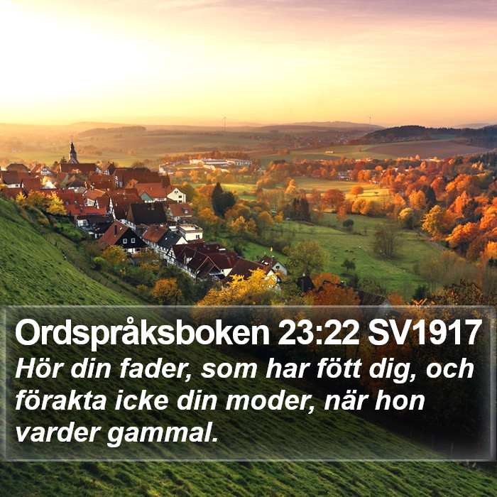 Ordspråksboken 23:22 SV1917 Bible Study