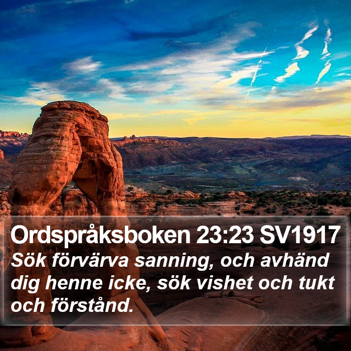 Ordspråksboken 23:23 SV1917 Bible Study