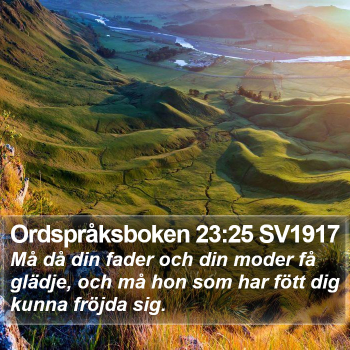 Ordspråksboken 23:25 SV1917 Bible Study