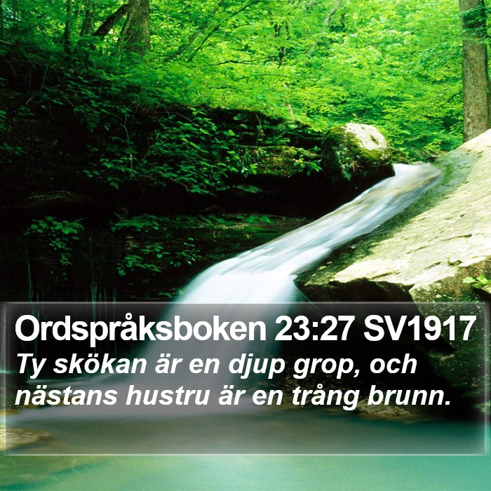 Ordspråksboken 23:27 SV1917 Bible Study