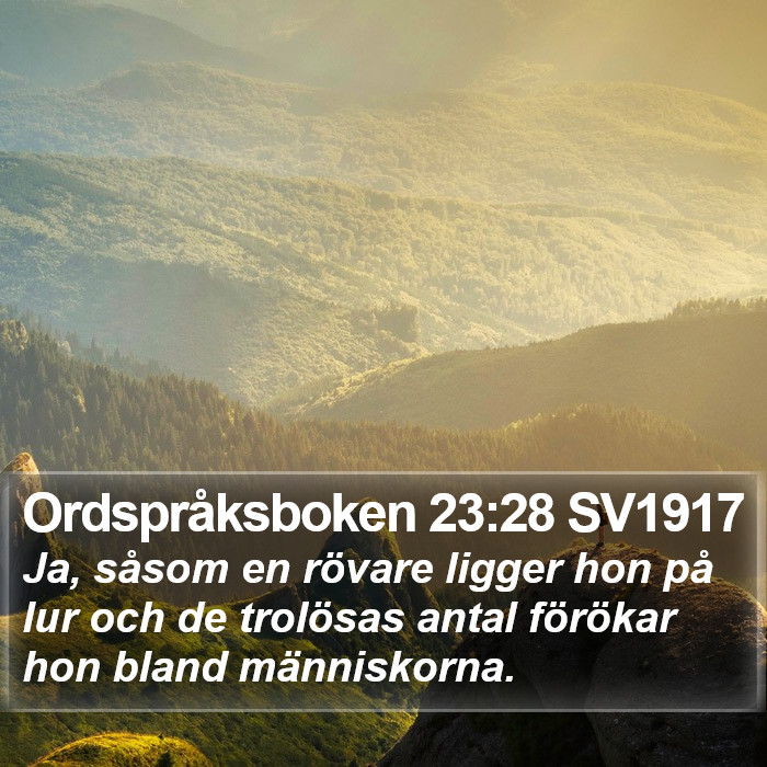 Ordspråksboken 23:28 SV1917 Bible Study