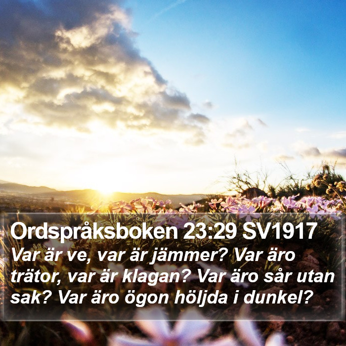 Ordspråksboken 23:29 SV1917 Bible Study